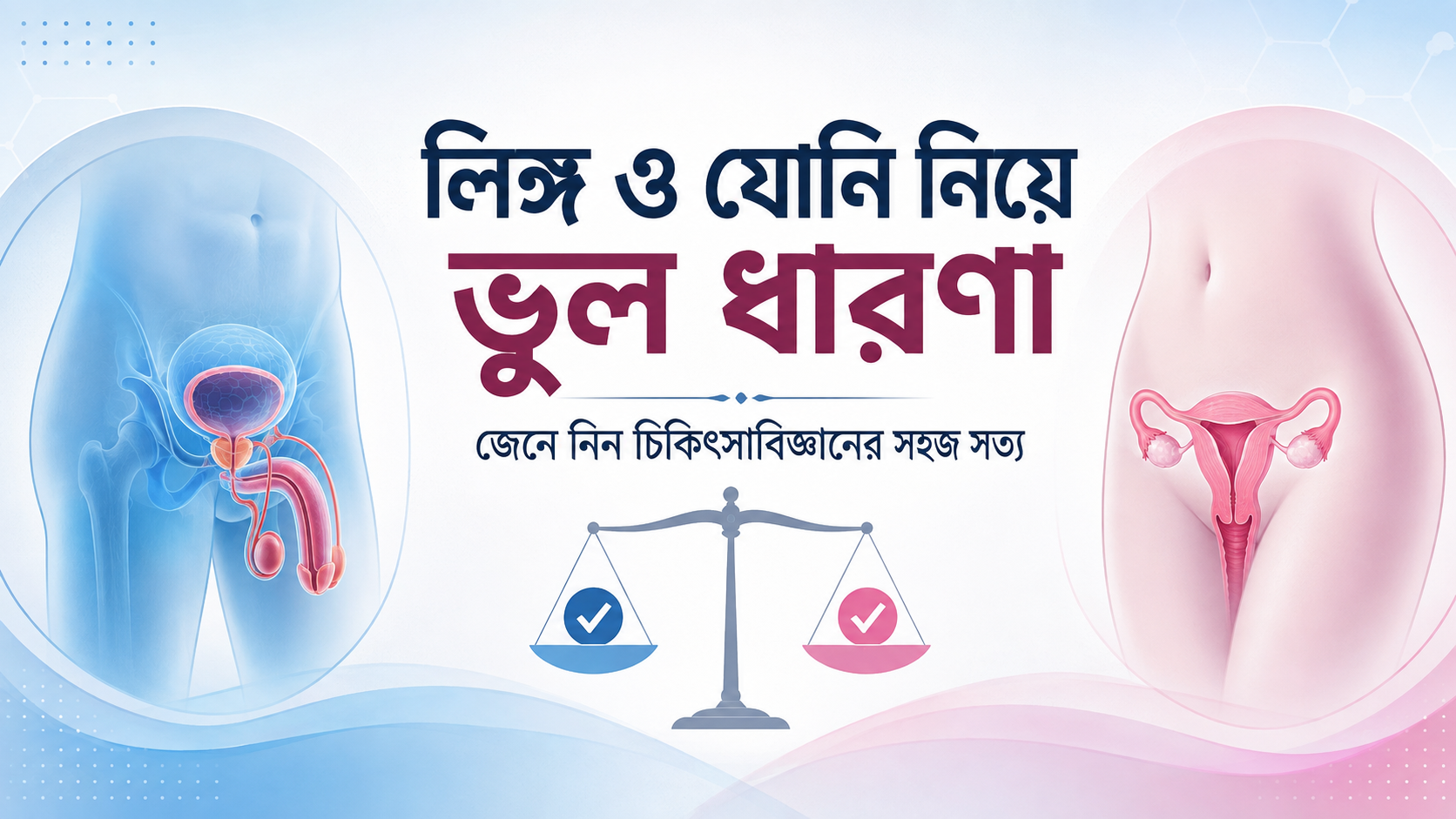 লিঙ্গ ও যোনি নিয়ে যেসব কথা জানা জরুরি: ভুল ধারণা বনাম বাস্তবতা