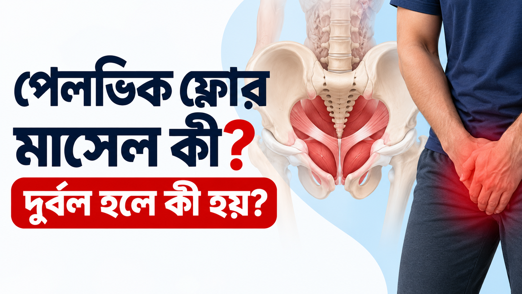 পেলভিক ফ্লোর মাসল কী? দুর্বল হলে কী হয়?