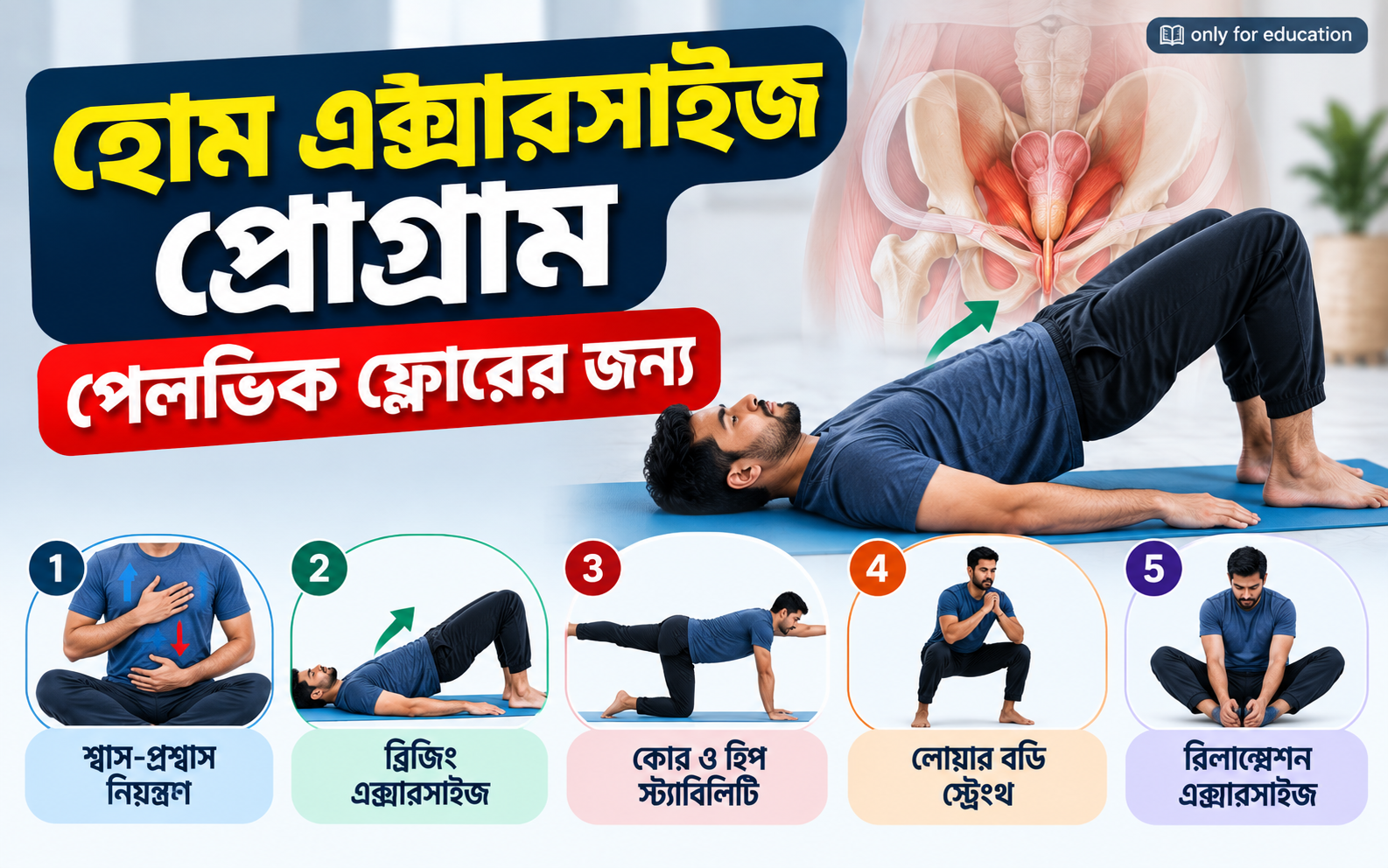হোম এক্সারসাইজ প্রোগ্রাম